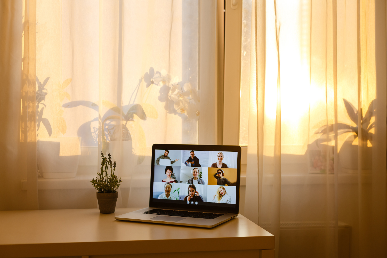 Laptop with video call meeting.